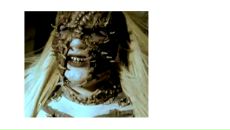 Фотография Савченко Елены