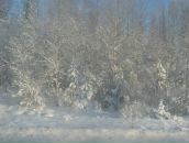 Фотография Бузыкаевой Ларисы