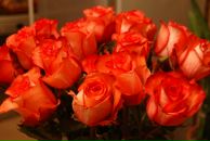 Фотография Малаховой Ирины