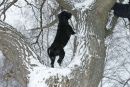 Андрій Левченко фотография #24 (источник - https://vk.com/id157104316)