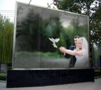 Лілія Ломанська фотография #8 (источник - https://vk.com/id133826133)