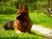 Іван Тимків фотография #13 (источник - https://vk.com/id24123318)