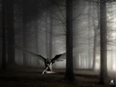 Huseyin Sonmez фотография #13 (источник - https://vk.com/id155666153)