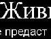 Джулія Пазюк фотография #19 (источник - https://vk.com/id139442453)