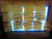 Фотография Беловой Александры