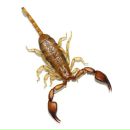 Ігор Стреха фотография #5 (источник - https://vk.com/id53899017)