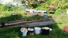 Дмитрий Крамарев фотография #35 (источник - https://vk.com/id274882)