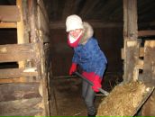 Фотография Michaels Miki