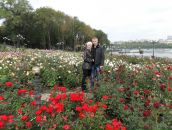 Фотография Шестериков Евгений