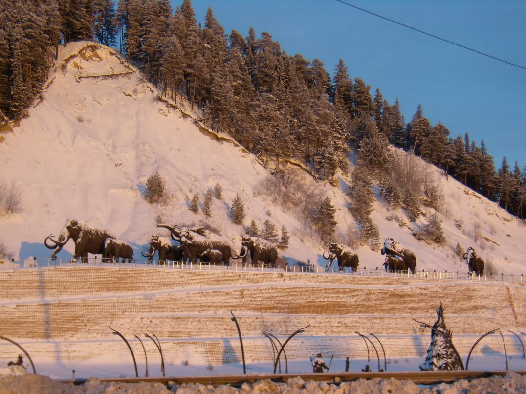 Антон Панов фотография #43