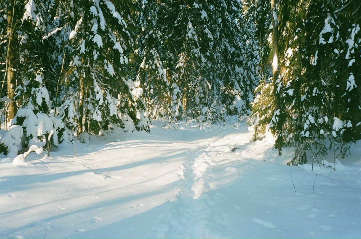 Paulina Dernova фотография #41