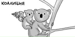 Фотография Приуполина Николая