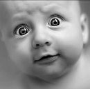 Олег Ткаченко фотография #8 (источник - https://vk.com/id60459197)