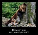 Назар Васів фотография #28 (источник - https://vk.com/id19900081)