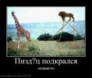 Міша Малкович фотография #35 (источник - https://vk.com/id103390841)