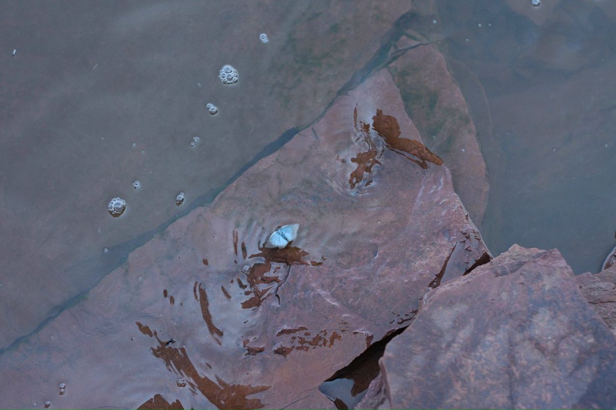 Аян Монгуш фотография #36