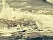 Віка Шкода фотография #9 (источник - https://vk.com/id62830200)