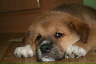 Фотография Колосковой Аллы