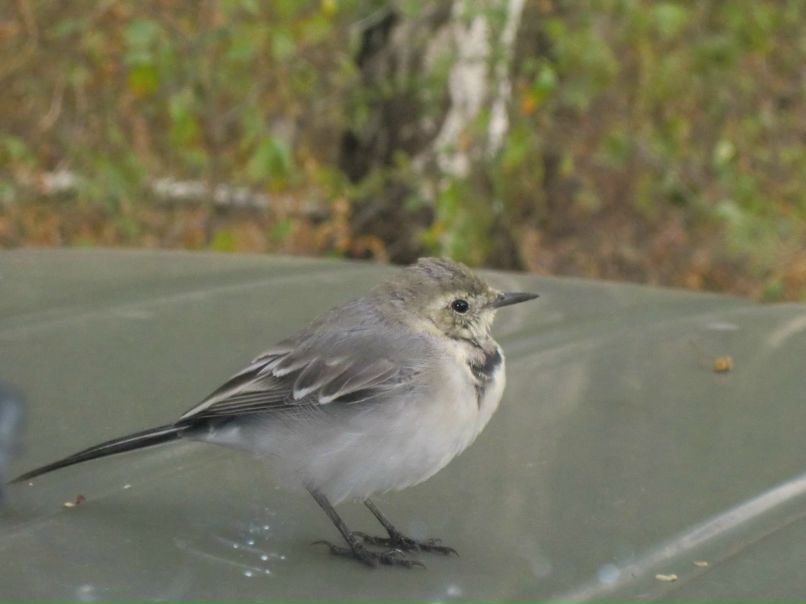 Артем Самарин фотография #43