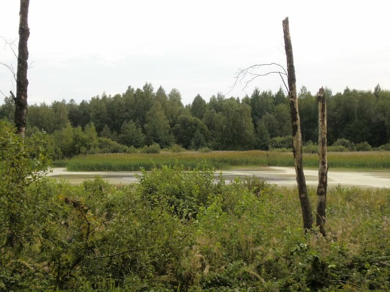 Артем Самарин фотография #42