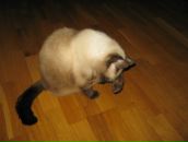 Фотография Сидоренко Женечки