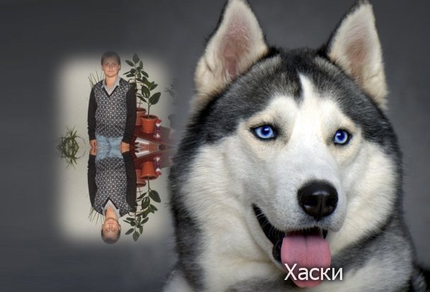 Владик Голубцов фотография #9