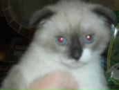 Фотография Чечулиной Марины