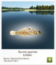 Ігор Шпаковський фотография #38 (источник - https://vk.com/id145959688)