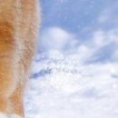 Віка Костевка фотография #45 (источник - https://vk.com/id151551439)