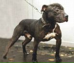 Андрій Горак фотография #41 (источник - https://vk.com/id50410921)