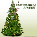 Фотография Пчельниковой Светланы