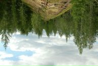 Фотография Дороги Серёги