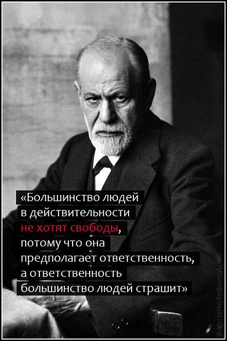 Михаил Шлыков фотография #44