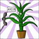 Сергей Власов фотография #3 (источник - https://vk.com/id473083)