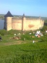 Саша Решетнік фотография #16 (источник - https://vk.com/id79741705)