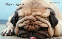 Фотография Ким Елены