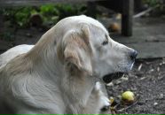 Фотография Васильевой Елены