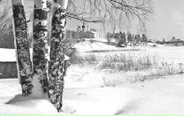 Фотография Poselskaya Just