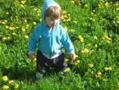 Дима Дмитриев фотография #18 (источник - https://vk.com/id4299849)