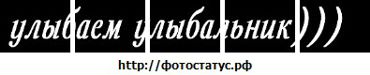  фотография #8