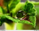 Володимир Хіміченко фотография #6 (источник - https://vk.com/id103813726)