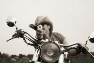 Фотография Кузнецовой Светланы