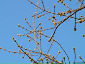 Фотография Кулик Екатерины