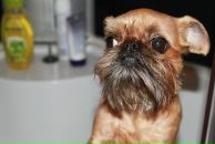 Дмитрий Ермолин фотография #24 (источник - https://vk.com/id2589754)