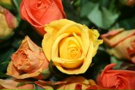 Фотография Моисеевой Анны