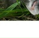 Людмила Сусідик фотография #46 (источник - https://vk.com/id5405046)