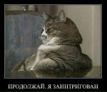 Дима Swip фотография #17 (источник - https://vk.com/id5352941)