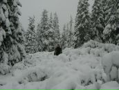 Юрій Шекель фотография #47 (источник - https://vk.com/id16928295)