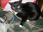 Андрій Дацюк фотография #50 (источник - https://vk.com/id27747637)