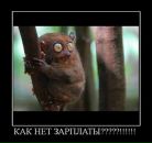 Фотография Тарасова Владимира